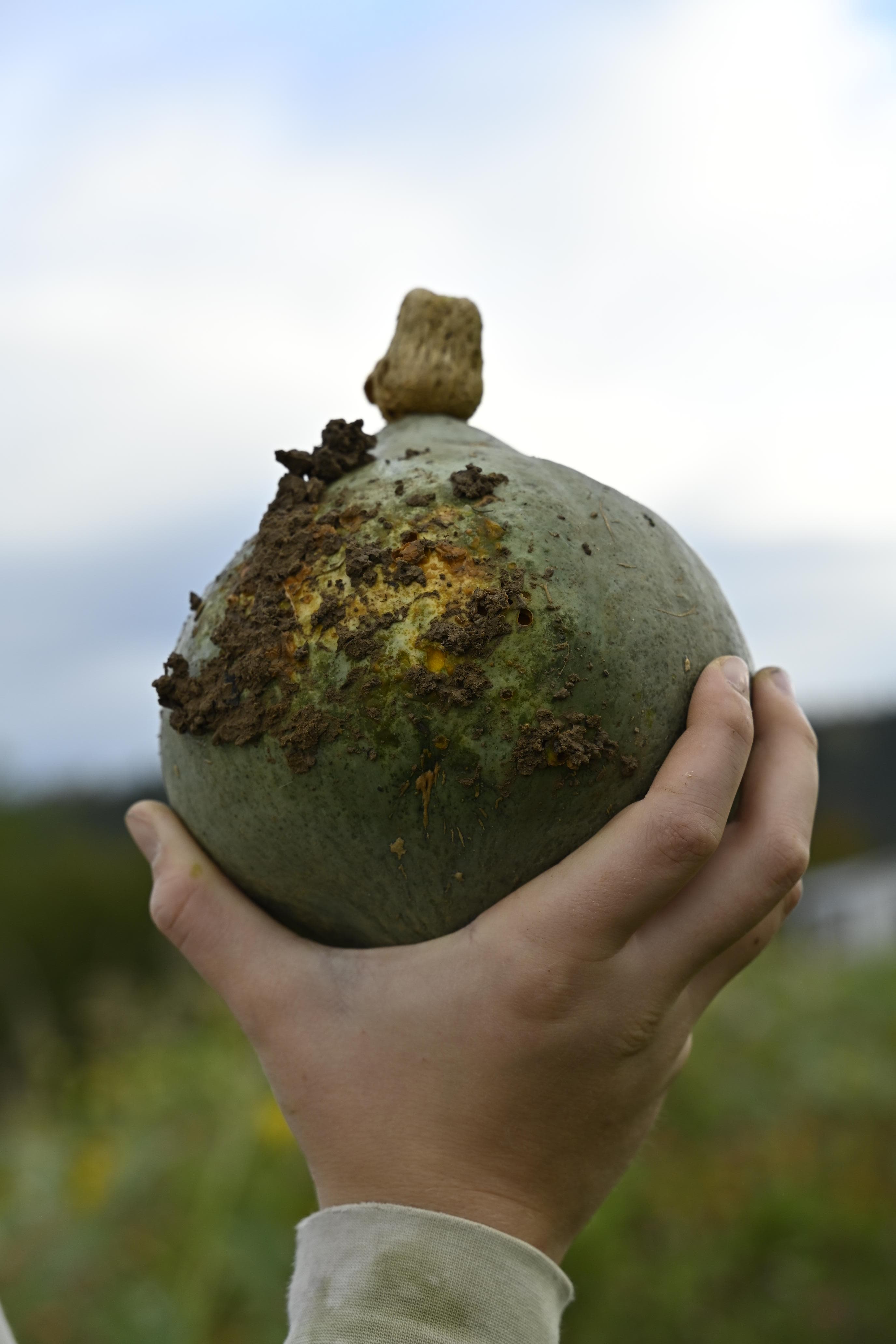 Familien & Kinder auf dem Geisshof